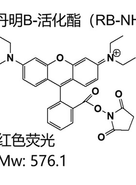 罗丹明B-活化酯RB-NHS红色荧光强度高蛋白多肽标记与氨基反应现货