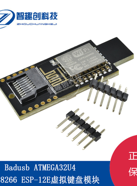 虚拟键盘 Badusb ATMEGA32U4 WIFI ESP8266 ESP-12E TF存储