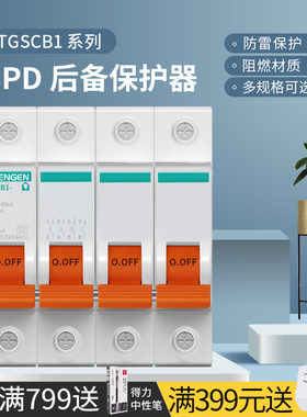 天正TGSCB1电涌浪涌后备保护器SPD防避雷器4P前端分断开关二级T2