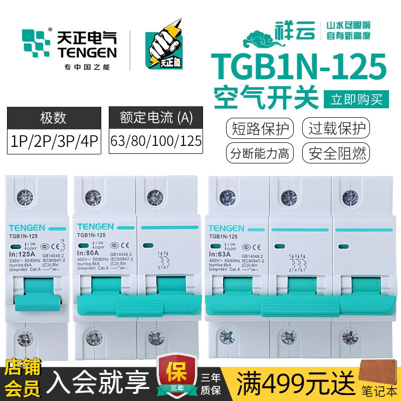 天正TGB1N-125断路器DZ47大功率3P单相2P空气开关4P大电流80A100A