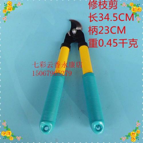 整枝剪修树枝剪花木树枝剪刀绿篱剪草坪剪伸缩园艺工具园林大剪刀