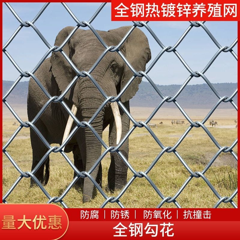 铁丝网围栏热镀锌铁丝网围栏网养鸡H狗牛羊养殖网勾花网钢丝网