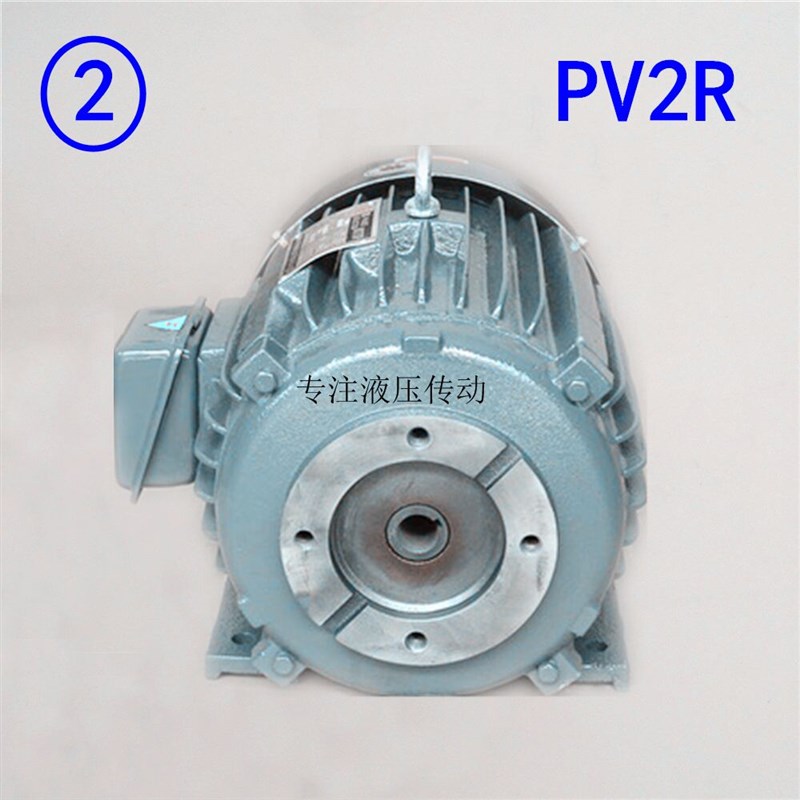 220V液压电机0.75KW配VPt20内轴电机1.5KW配VP15单相2.2KW3.7KW