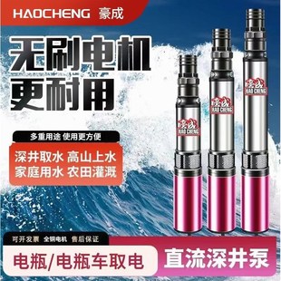 德国进口无刷电动车专用直流深井泵通用型48V60V72V农田灌溉浇花