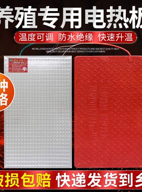 猪用电热板仔猪碳纤维加热板兽用不锈钢电热板母猪产床发热保温版