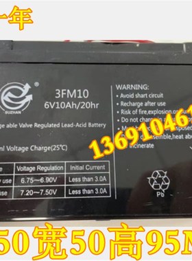 SUZHAN速展蓄电池 3FM10 6V10AH/20HR 电子吊钩秤电池 玩具车电瓶