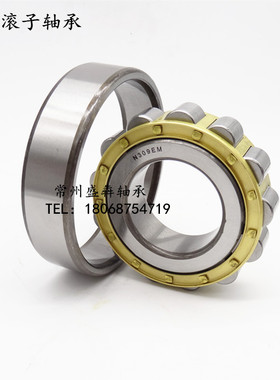 圆柱滚子轴承N1004 1005 1006 1007 1008 1009 1010 1011 1012EM