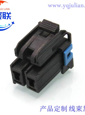 DJ70218-2.8-21黑色 汽车线束插头2孔接插件护套 连接器 配端子2P