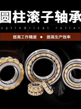 单列滚子轴承N NU NJ RN NUP NF2210 2211 2212 2213 EM C3 4 P5