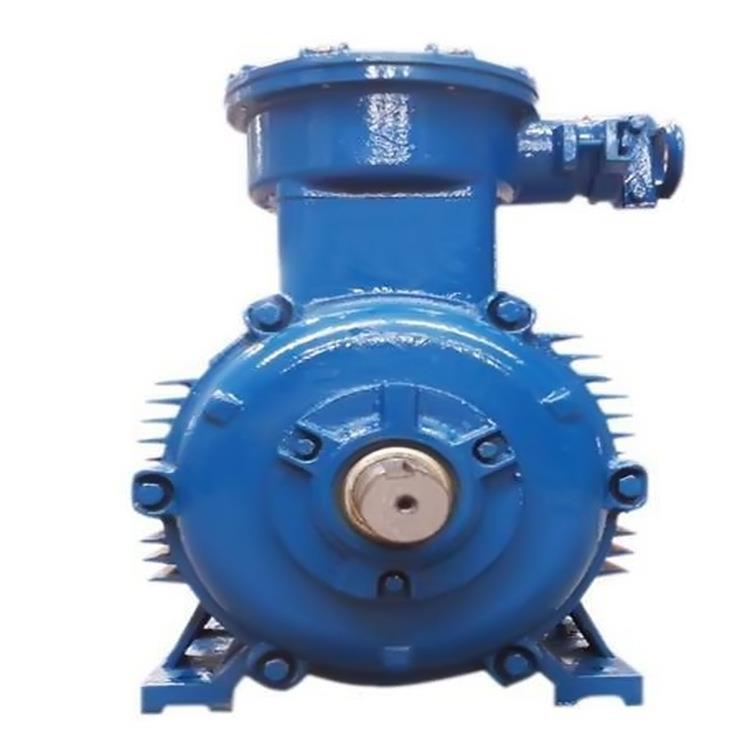 实体厂家江苏新大力YB2CT4-315L2-6132W6级防爆防爆防爆电机