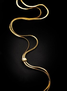 欧美时尚抽拉长款项链女小众轻奢设计高级感蛇骨链简W约百搭毛衣