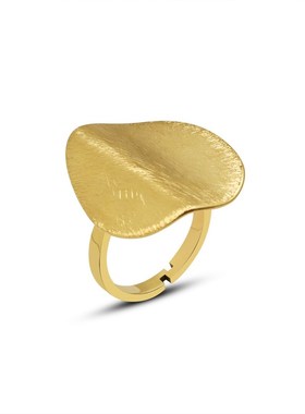 法式夸张异形拉丝雾面感戒指小众设计C奇特创意电镀18K金手饰 A20