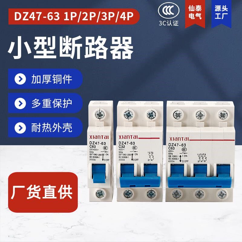 销售仙泰家用小型断路器 供应DZ47-63微型白色空气开关