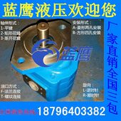 4160 4150 4170 4180 4200长江型齿轮油泵A1FR CBY4125 4190 4140