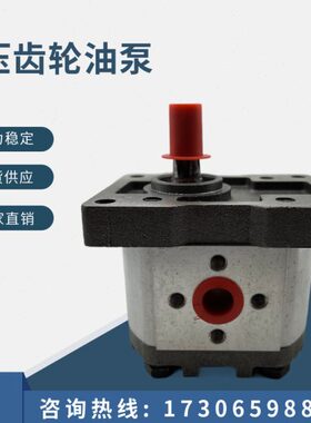 齿轮泵CBN/CBT-G304/G306/G310/G314/G316/G320/G325黑铁盖 25MPA