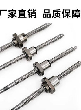 高速精密滚珠丝杆螺母副大导程丝杠SFSD1205 1605螺杆滑台静音定