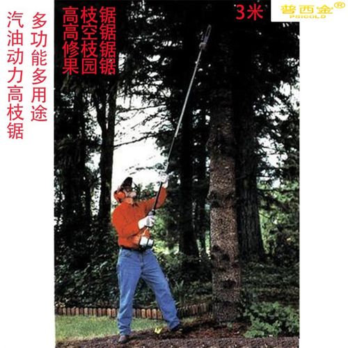 汽油动力高枝锯高杆锯高枝油锯果子修剪高空锯Q园林绿化锯树枝3米