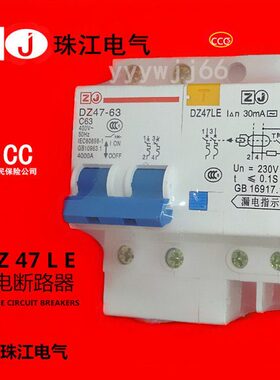 珠江电气保护开关插座DZ47LE2P63A二极漏电断路器珠江电气