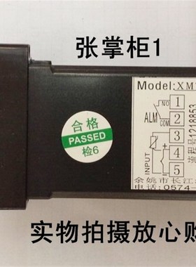 余姚长江PcID智能温度回差温控仪XMTG  608 618    618G