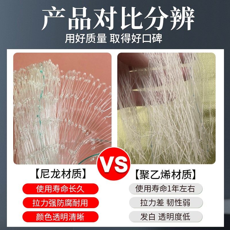 果树防鸟网小网孔果园天网尼龙网农用防鸟丝网樱桃嘉宝果树防护罩