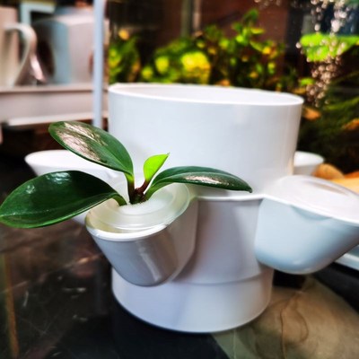 无土栽设备管道种植篮定植篮水耕水培杯加深蔬菜植物种植杯固根器