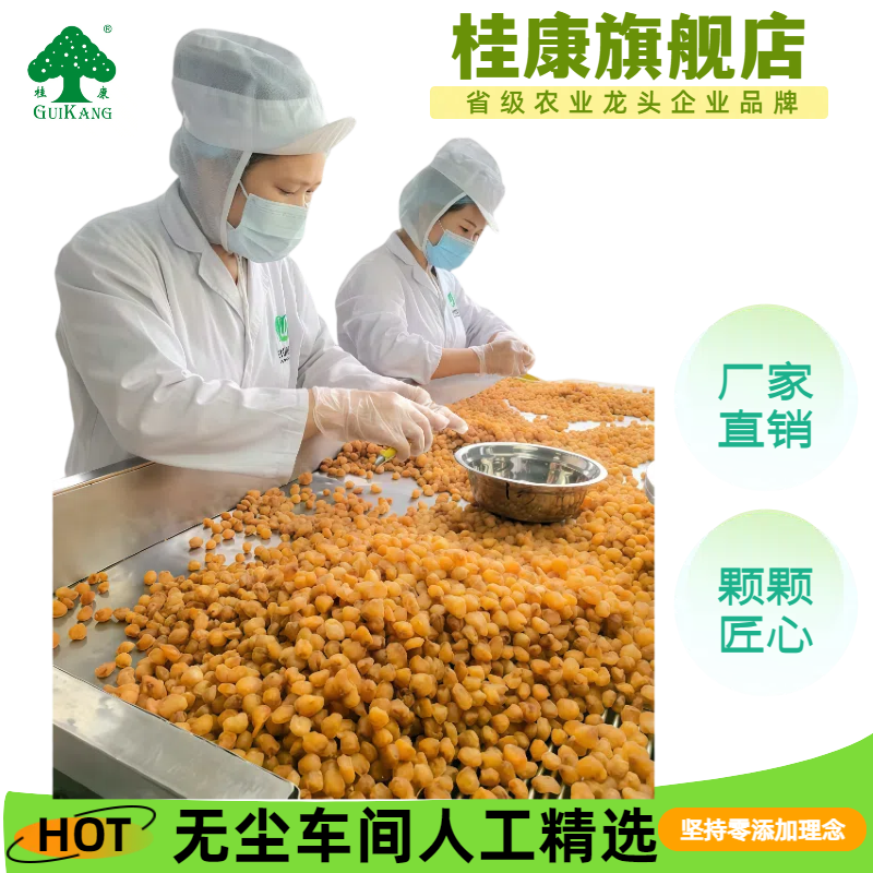 桂康新货9A特大果高州桂圆肉9a灯笼肉无核龙眼肉干果泡水无添加剂