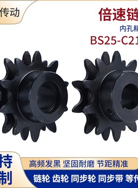 2.5倍速链轮BS25-C212AWESP3.4.5主动轮 C206BC208AC210A倍速链条