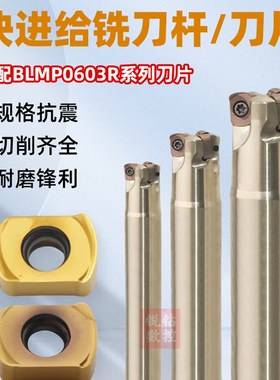 快进给铣刀杆TEMBL高速粗铣刀盘BLMP0603R-M特固克通装双面铣刀片