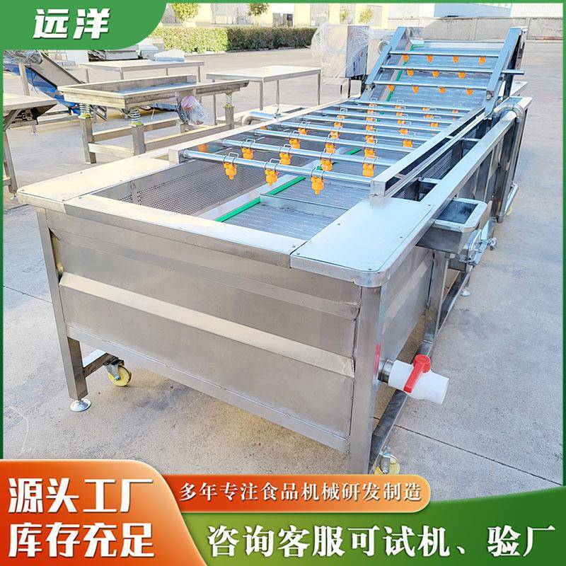 全自动气泡清洗机海带清洗机青刀豆清洗设备喷淋式芸豆清洗机