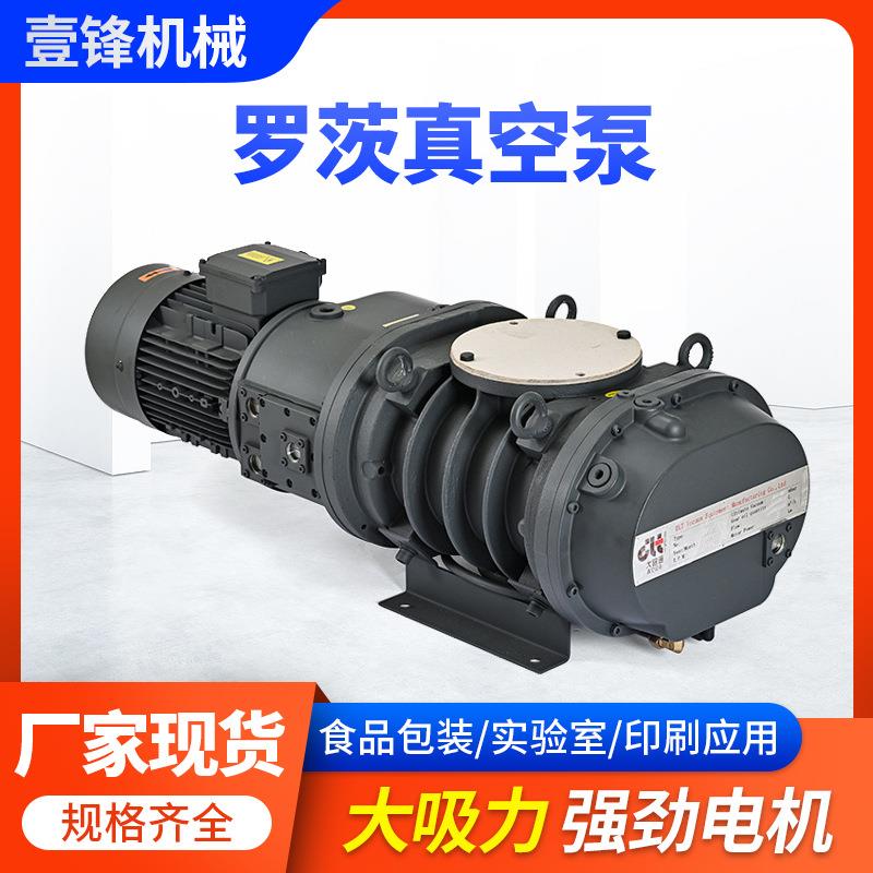 现货直供罗茨真空泵真空蒸馏单极旋片真空泵工业用机械增压泵头