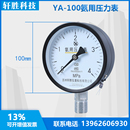 氨用压力表 氨气压力表 4MPa 苏州Q轩胜仪表科技有限公 100