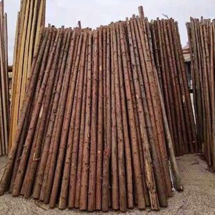 杉木桩原木打桩木防汛支撑杉木杆河道工程驳岸桩圆木实木防洪松木