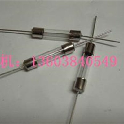 带引线保险丝5X20 2A玻璃保险管 带脚保险丝 十只三元 三皇冠卖家