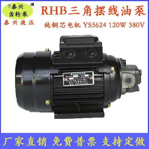 RHB-1/1.5/2.5/3.15/4JZ三角齿轮油泵电机组三相120W润滑泵JW5624