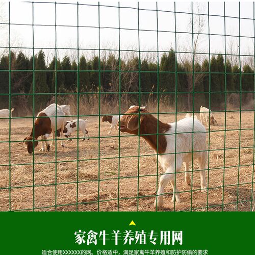 丝网格网菜园加密网爬藤栅栏网爬花架铁丝方格篱笆网网格围栏户外
