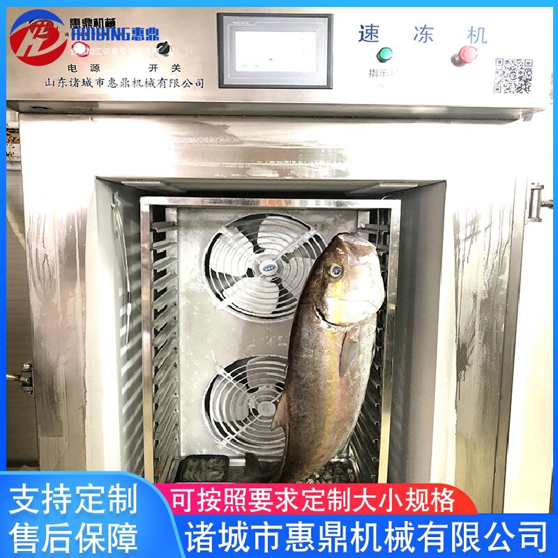 惠鼎柜式速冻机快速冷冻设备 鱼鸡海鲜等快速冷冻 厂家定 制