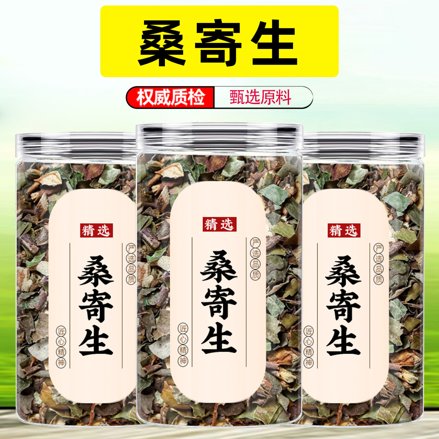 桑寄生中药材正品官方旗舰店广西梧州新货桑树槲寄生独活桑寄生茶
