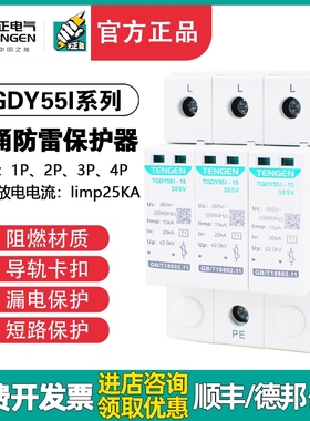 天正浪涌保护器TGDY55I避雷器4P三相防雷器15KA 25KA一级电涌380V