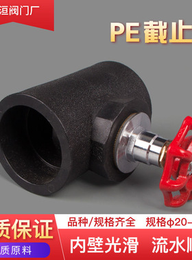 20PE升降截止阀门25自来水管止水闸阀开关4分6分1寸球阀管件配件