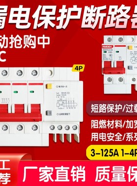 DZ47LE-63A 2P空开带漏电保护器3P 4P32A1P16A家用断路器总闸4050