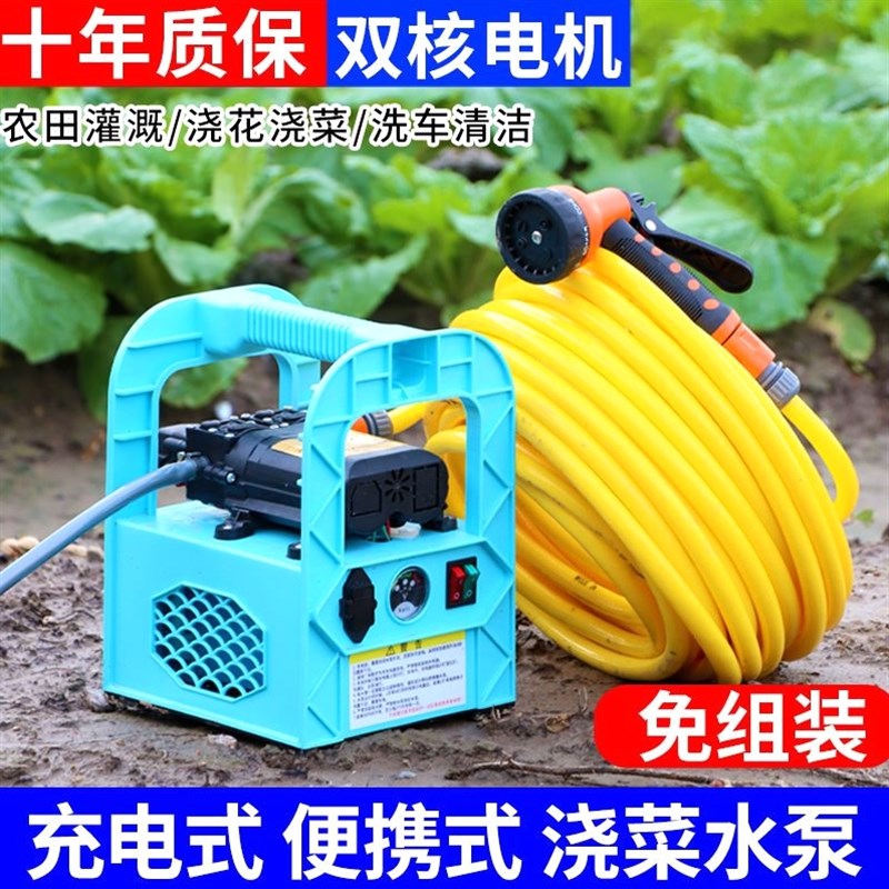 德国进口家用充电抽水泵户外灌溉浇地浇菜神器电动抽水器喷雾器自