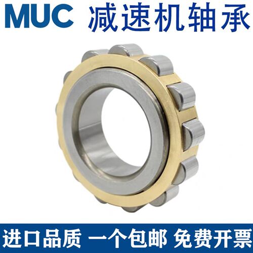 减速机偏心圆柱滚子轴承RN212 213 214 215 216 217 218 219 220M