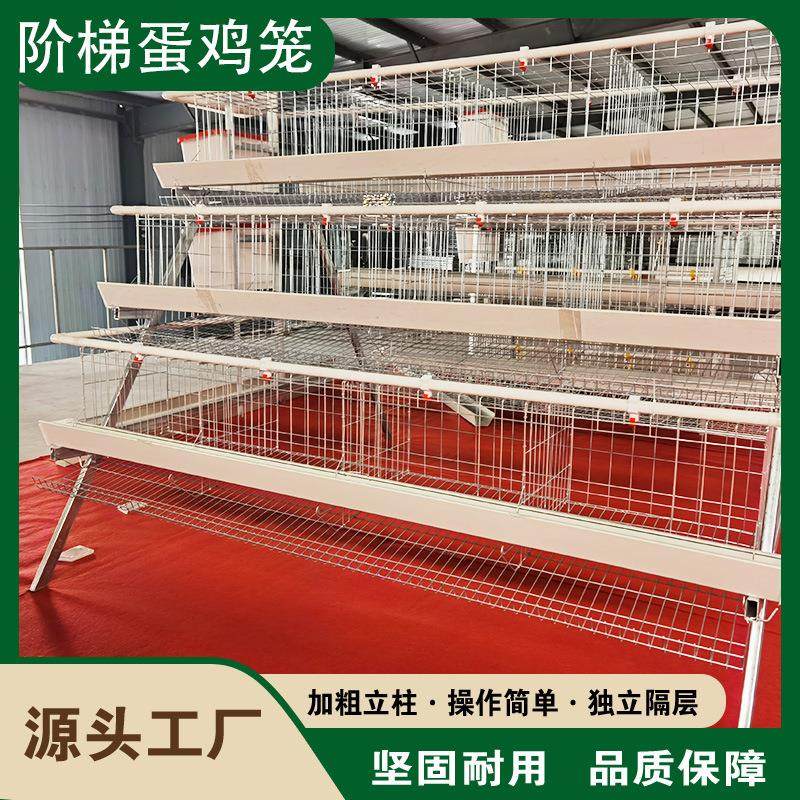 阶梯蛋鸡笼A型鸡笼三层四层鸡舍养殖场蛋鸡笼加粗冷镀锌高材质,农机/农具/农膜,农用防护器具,淘宝优惠券,粉丝福利购,淘宝优惠卷