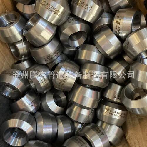 厂家供锻制承插焊支管座SW CL3000 S32168 GB/T14383承插焊支管台