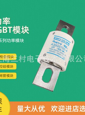 全新熔断器保险丝A30QS1-1 A30QS2-1 A30QS3-1 A30QS4-1 A30QS5-1