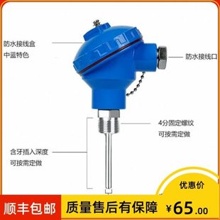 150mm 236 420℃ 200 Φ6 pt100 双芯热电阻 WZP2 上海仪表