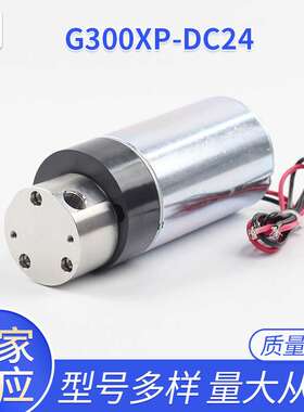 G308XP/DC24炒菜锅喷油果糖机食品级齿轮泵食品级材料G312XP/DC24