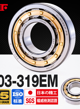 进口KIF圆柱滚子轴承NU303NJ304N305NF306NUP307RN308 309M310EM