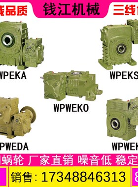 WPEKA WPEKS WPWEKO WPWEDA WPWEK蜗轮蜗杆减速机 减速器减速箱