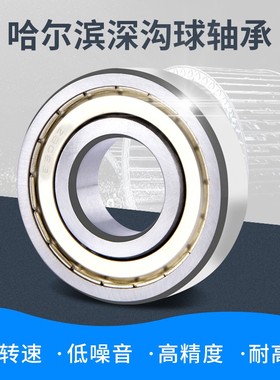 哈尔滨深沟球轴承 6316 6317 6318 6319 6320Z ZZ 2RZ电机 高转速